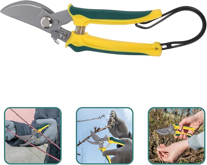 Ciieeo Orchard Fruit Picking Pruning Shear with Bent Tip and Lanyard, Stainless Steel Garden Clippers for Trimming Plants, Flowers, and Branches, Handheld Multifunctional Gardening Tool
