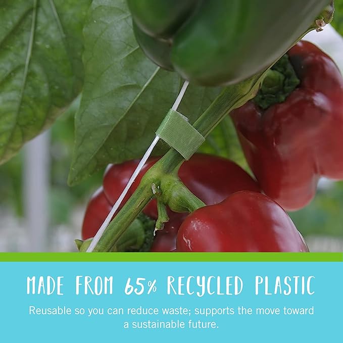 VELCRO Brand VEL-30087-AMS ONE-WRAP Ties Starter Pack for Container Gardens or Houseplants, 12pcs, Pre-Cut, 6 in x 1/2 in, Green-Recycled Plastic