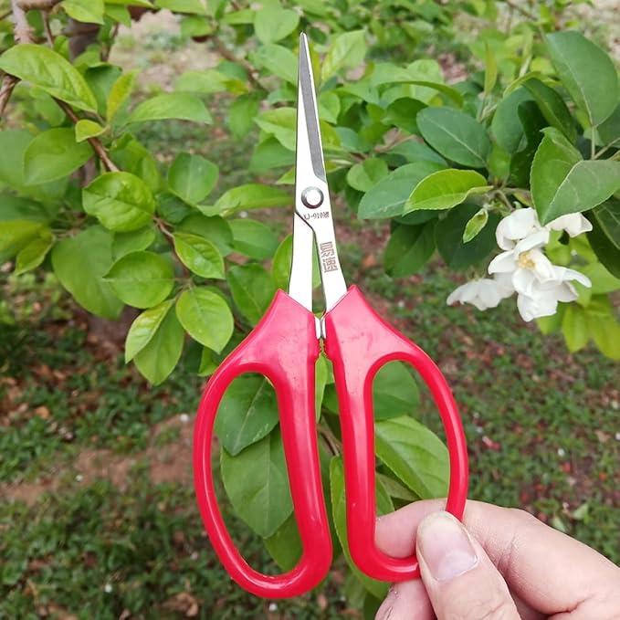 TOYANDONA Garden Fruit Scissors and Flower Pruning Shears for Gardening and Orchard Use, Curved Blade Hand Pruner Sharp Cutting Edge, Multifunctional Trimming Tool for Plants and Flowers