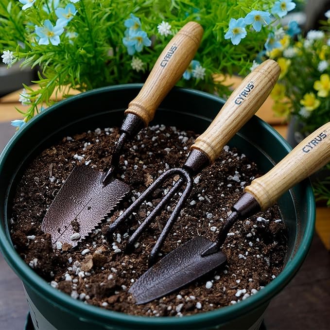 CYRUS Small Garden Shovel Set,3 Piece Garden Shovel Carbon Steel,Includes Hand Shovel, Transplanting Shovel and Hand Rake with Ash Wood Handle for Succulent Plants,Small Potted Plants Planting