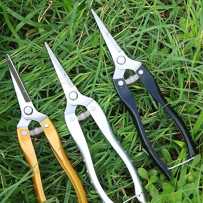 GANAZONO 2pcs Heavy Duty Stainless Steel Pruning Shears Garden Scissors Plant Clippers for Fruit Tree and Vegetable Trimming Outdoor Gardening Tools