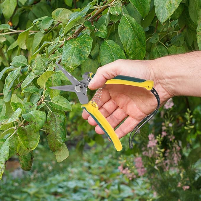 Stainless Steel Pruning Shear and Garden Scissors with Straight Tip, Hand Clippers for Tree Trimming and Flower Cutting, Garden Tool with Wrist Strap for Orchard and Yard Use