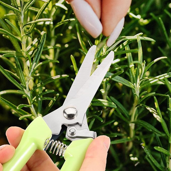 TIDTALEO 2pcs Stainless Steel Garden Pruning Shears Heavy Duty Curved and Straight Plant Scissors for Flower Cutting and Branch Trimming in Orchard Gardening Tools