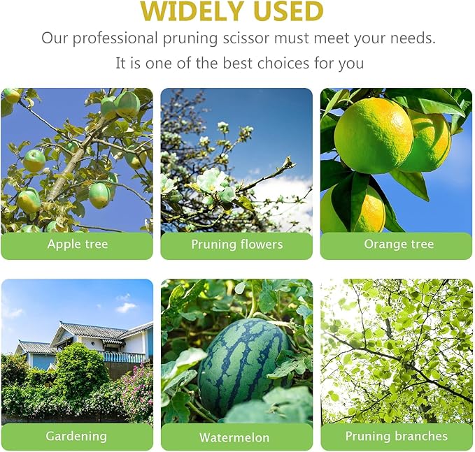 Angoily Serrated Gardening Pruning Shear Scissors 8-inch Steel Blade Labor-saving Hand Tool for Garden Trimming and Branch Cutting Random Color