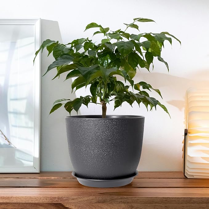 10 Inch Planting Pots Set of 3, Outdoor Planters for All House Plants Black Plastic Flower Pots Modern Decorative Garden Pot with Saucer