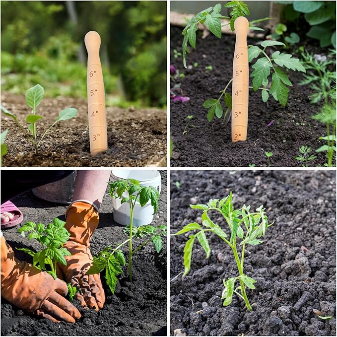 Wooden Seed Dibber with Measurement Handheld Save Time Ergonomic Round Handle Quick Efficient Seed Planter Tool Tapered Gauge