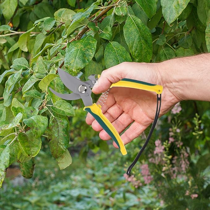 Ciieeo Orchard Fruit Picking Pruning Shear with Bent Tip and Lanyard, Stainless Steel Garden Clippers for Trimming Plants, Flowers, and Branches, Handheld Multifunctional Gardening Tool
