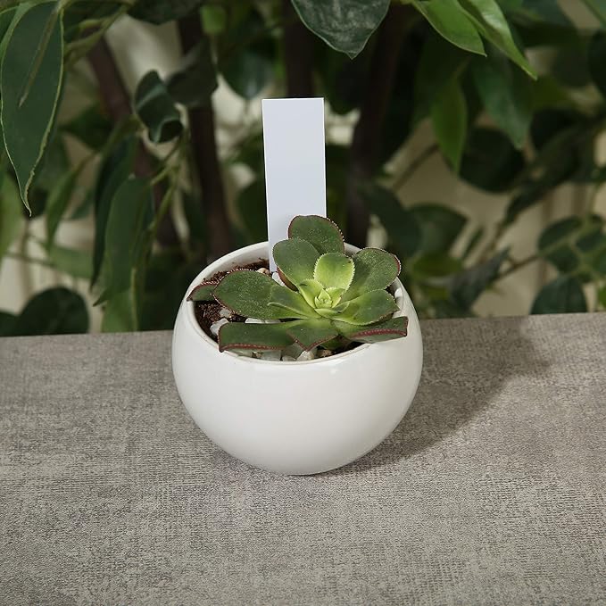 1000 Pcs Plant Tags, 4 Inch Plastic Garden Plant Pot Markers Waterproof Plant Label, White