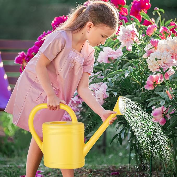 1 Gallon Watering Can for Indoor Plants, Garden Watering Cans for Outdoor Plant House Flower, Modern Plant Watering Can Large Long Spout with Sprinkler Head