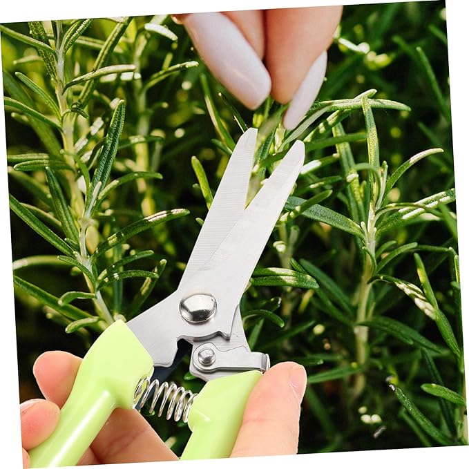Happyyami 2pcs Garden Pruning Shears Hand Tools for Trimming Plants Flower Scissors Non- Handle Lightweight Gardening Clippers for Branch Shaping