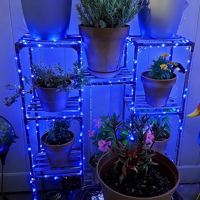 QITONG 4 Pack Solar Fairy Lights, Each 33ft 100 LED Blue Christmas String Light Outdoor Waterproof, 8 Modes Silver Wire Twinkle Mini Lights