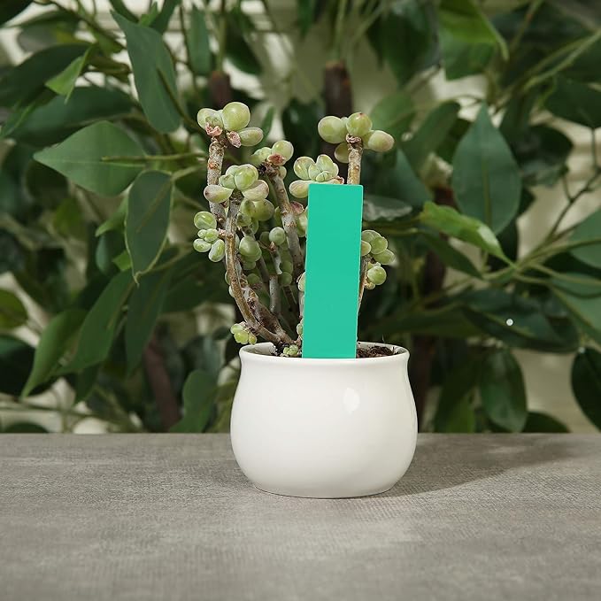 1000 Pcs Plant Tags, 4 Inch Plastic Garden Plant Pot Markers Waterproof Plant Labels, Green