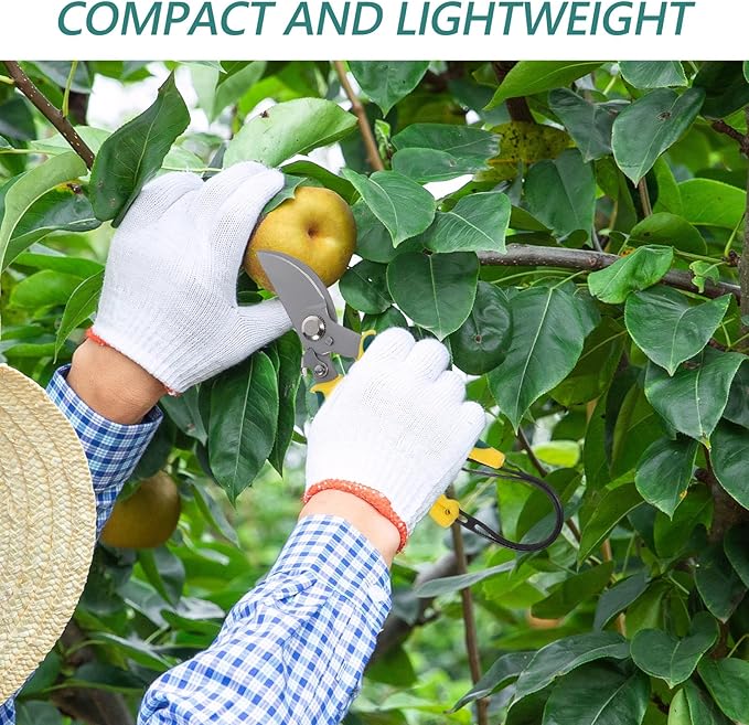 HEMOTON Bent Tip Pruning Shear for Tree Trimming with Lanyard, Stainless Steel Garden Clippers for Branches and Plant Care, Multi-purpose Hand Tool for Orchard and Flower Gardening