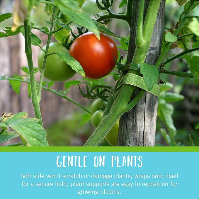 VELCRO Brand VEL-30087-AMS ONE-WRAP Ties Starter Pack for Container Gardens or Houseplants, 12pcs, Pre-Cut, 6 in x 1/2 in, Green-Recycled Plastic