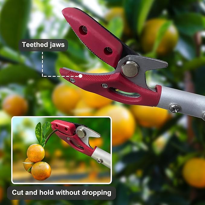 Tree Trimmer, 6 Foot Pole Pruner, Long Reach Pruning Shears, Cut and Hold Garden Clippers, Aluminum Lightweight Handle Fruit Picker, Branch Bypass Loppers