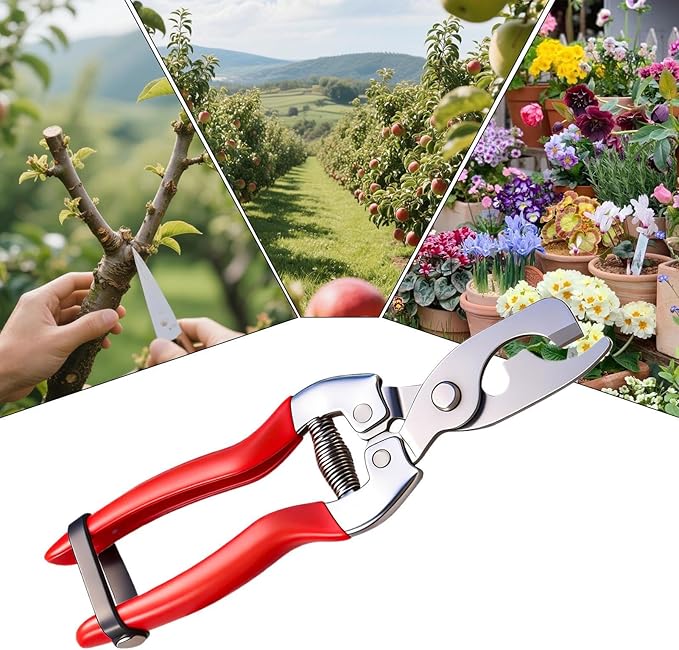 Pruning Shears Clippers, 8.3x3.3cm Stainless Steel Hand Pruner with Rubber Coated Handle, Gardening Tool, for Plant Care, Flower Trimming, Small Branch Cutting