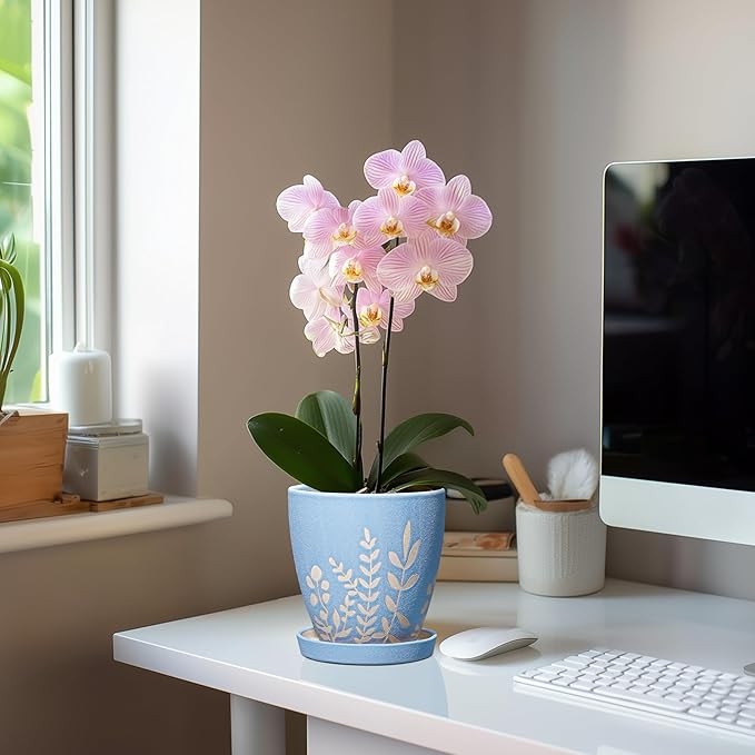 EPFamily 6 Inch Ceramic Plant Pot with Saucer - Small Flower Pot with Drainage for Succulents & Herbs, Boho Desk Home Office Room Decor, Plant Lovers Gifts, Blue