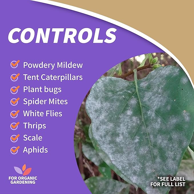 Bonide Insecticidal Soap, 32 oz Ready-to-Use Spray Multi-Purpose Insect Control for Organic Gardening Indoor and Outdoor