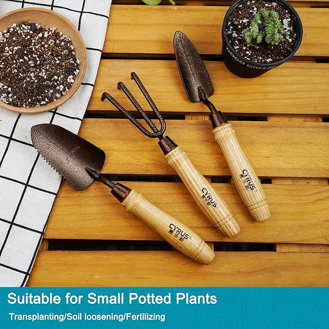CYRUS Small Garden Shovel Set,3 Piece Garden Shovel Carbon Steel,Includes Hand Shovel, Transplanting Shovel and Hand Rake with Ash Wood Handle for Succulent Plants,Small Potted Plants Planting