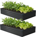 zunatu 8x4x1 ft(2 Pack) Galvanized Raised Garden Bed,Outdoor Planter Box Metal Patio Kit Planting Bed for Vegetables Flowers and Succulents,Black