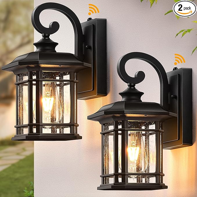 VIANIS Black Outdoor Light Fixture Dusk to Dawn, 2 Pack Porch Lights Outdoor, Exterior Lighting Fixtures with Seed Tempered Glass, Outside Lights for House, Garage, Doorway, Patio