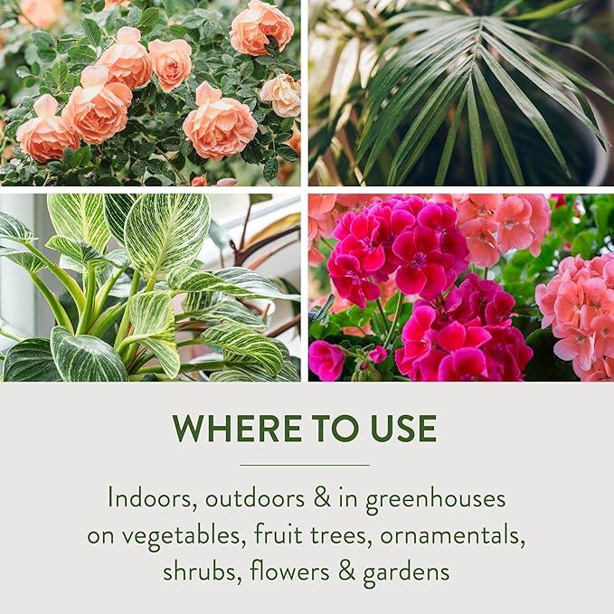 Garden Safe Brand Insecticidal Soap Insect Killer, 32 Fluid Ounces, For Organic Gardening, Kills Bugs Through Contact