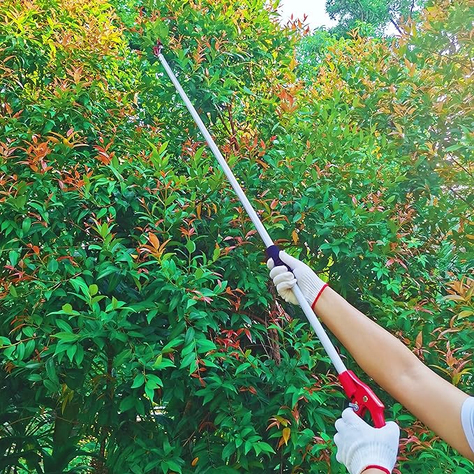 Tree Trimmer, 6 Foot Pole Pruner, Long Reach Pruning Shears, Cut and Hold Garden Clippers, Aluminum Lightweight Handle Fruit Picker, Branch Bypass Loppers